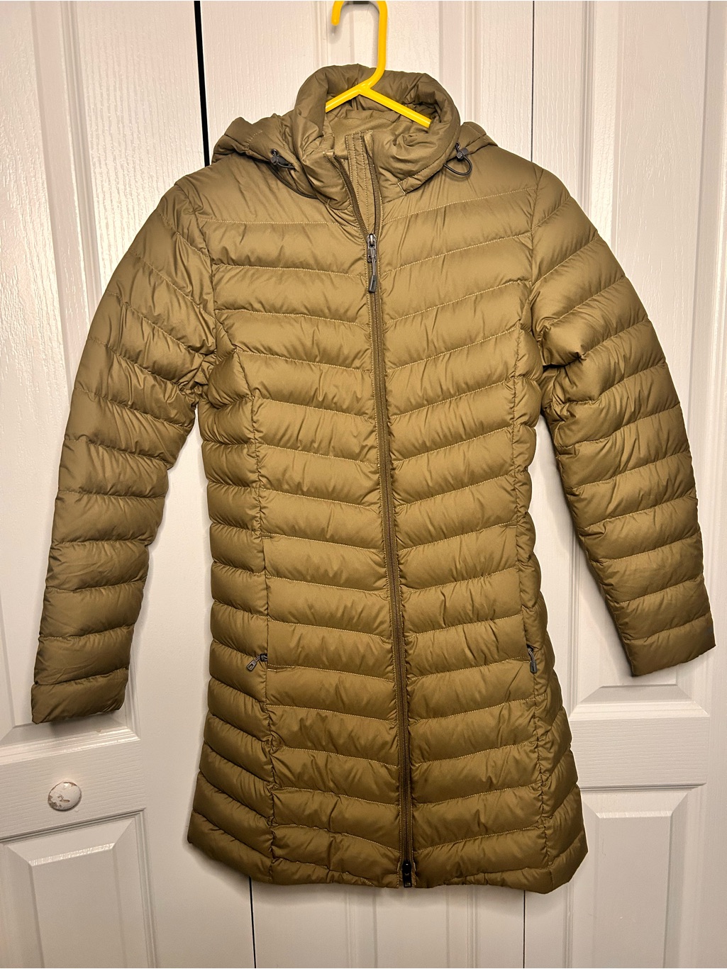 Patagonia Silent 700 Down Hooded Parka Womenâs Jacket Size Small In Sage Green